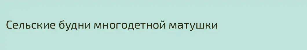 Сельские будни многодетной матушки